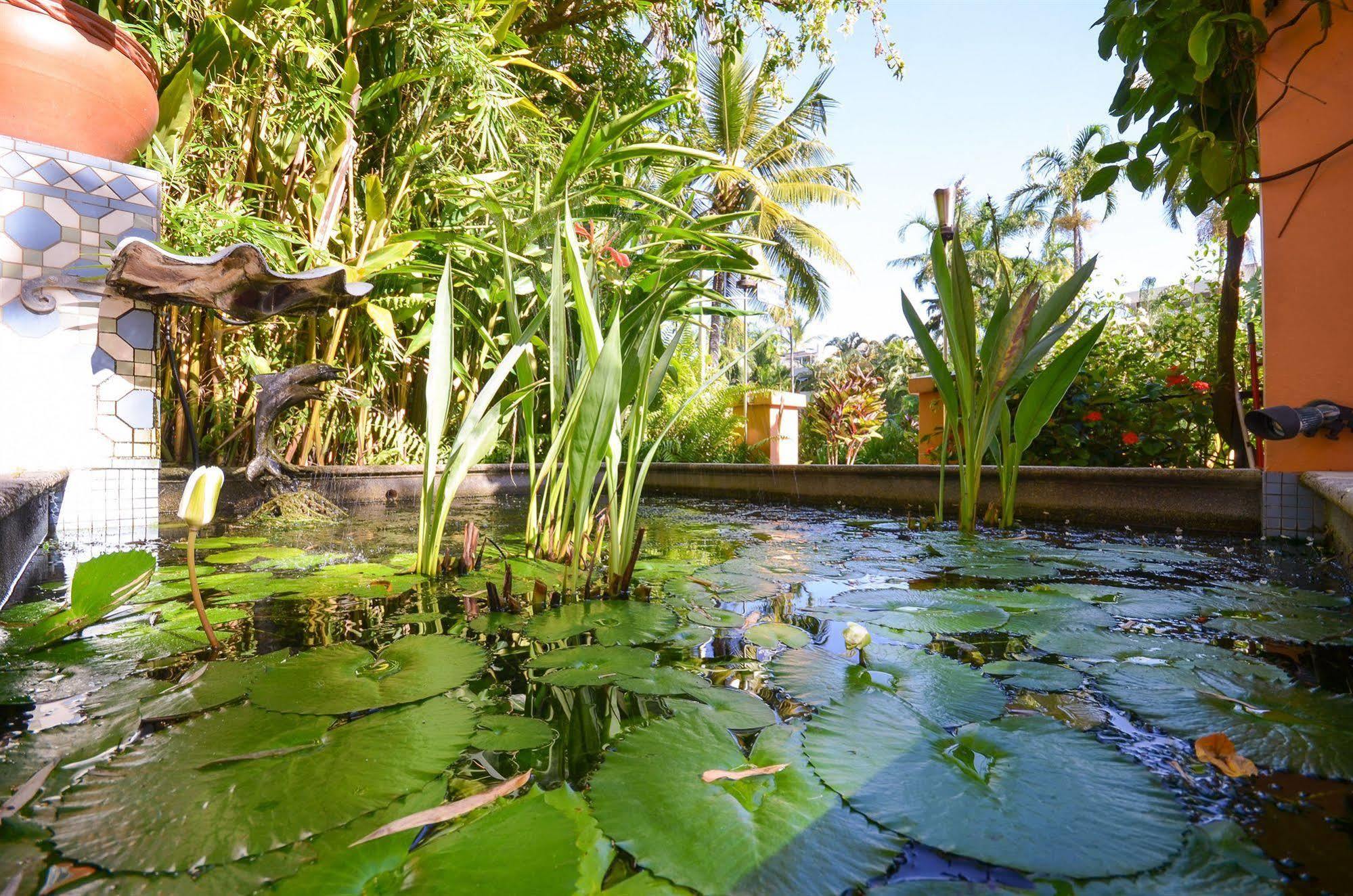 ポートダグラス マルティニーク オン マクロッサンアパートホテル エクステリア 写真